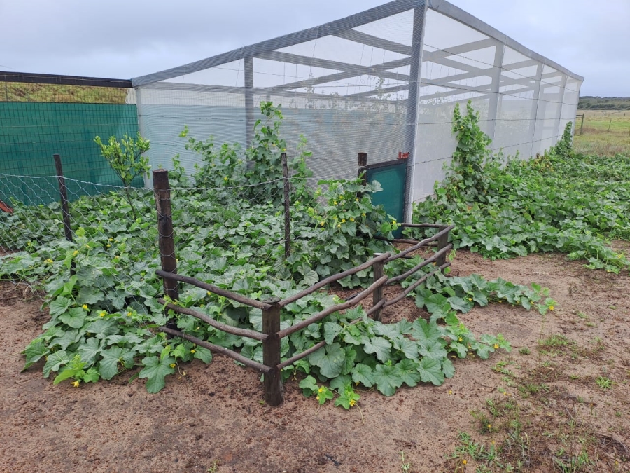 Commercial Property for Sale in St Francis Bay Rural Eastern Cape